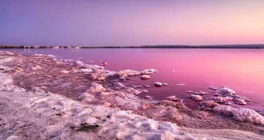 viaje foto Torrevieja y La Laguna Rosa 2024