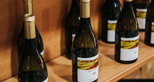 viaje foto Bodegas y Alcalá del Júcar 28 de Julio 2024