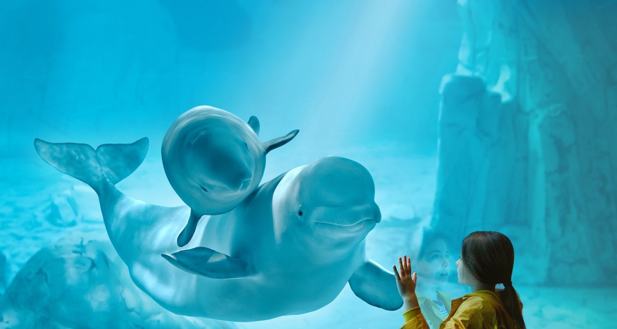viaje foto Oceanogràfic y Museo de las Ciencias Agosto 2024