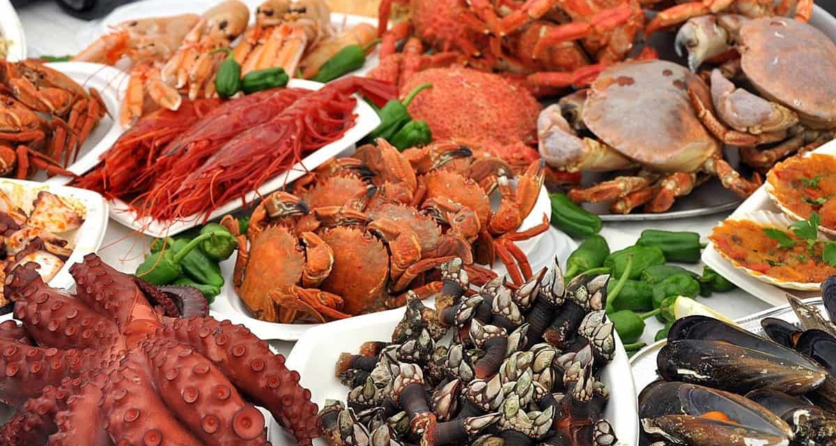 viaje foto Galicia: Especial Feria del Marisco de OGrove 2024