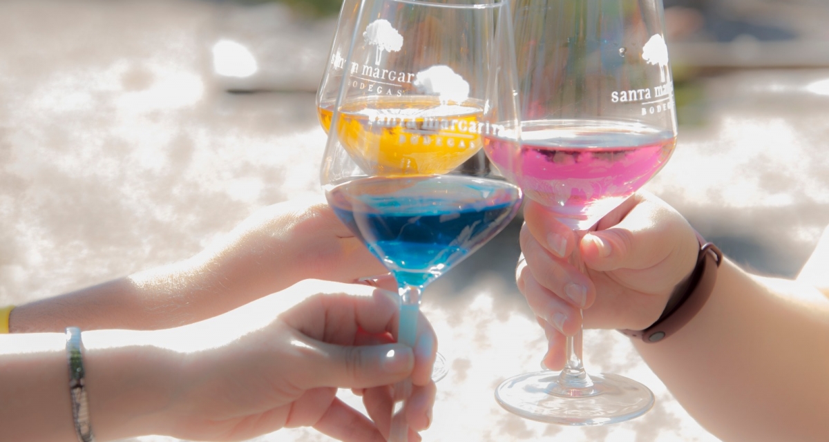 viaje foto Los Famosos Vinos de Colores y Caudete 2025