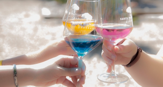 viaje foto Los Famosos Vinos de Colores y Caudete 2025