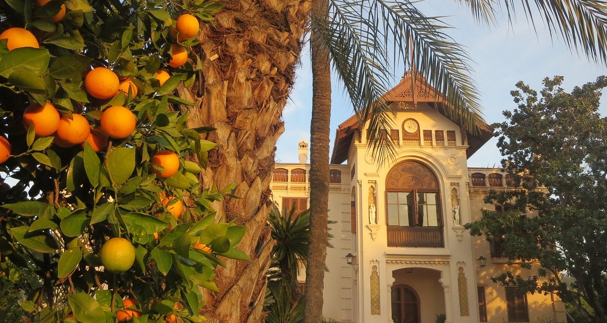 viaje foto La Ruta de la Naranja y la Albufera Valenciana