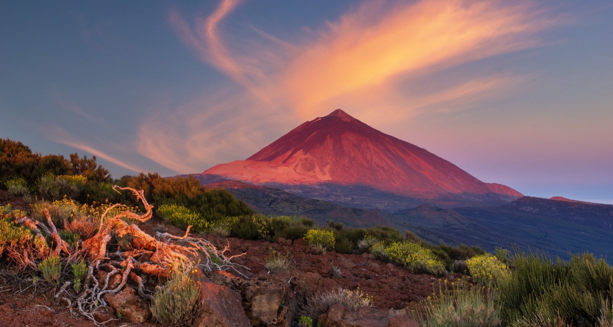 viaje foto ¡Tenerife al Completo! 2026